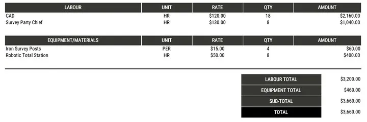 An invoice produced by a job set to Summarized