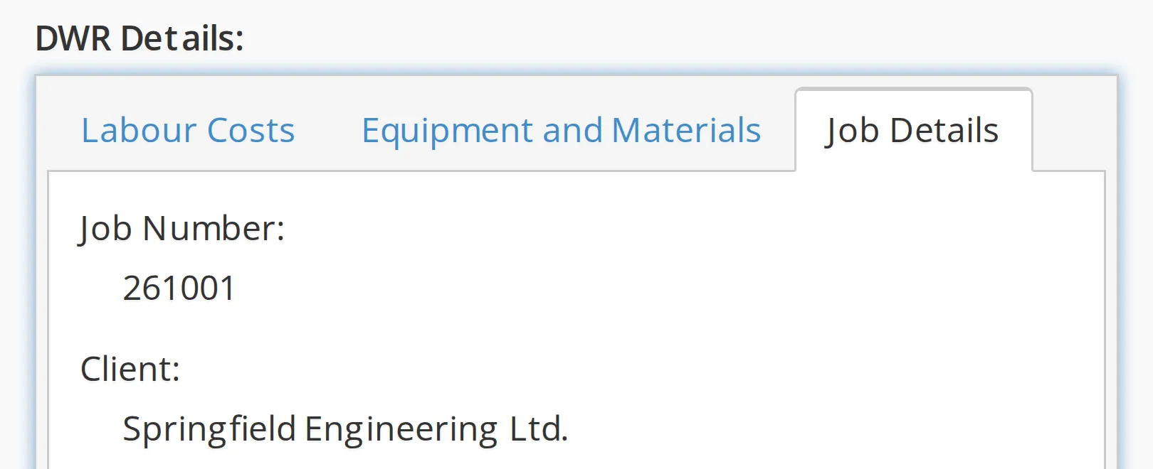 The Job Details tab of a DWR on a phone