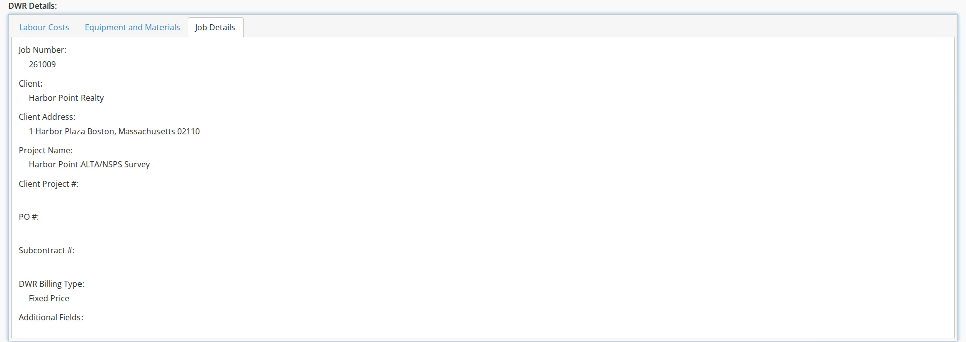 The Job Details tab of a DWR, showing the nine read-only fields